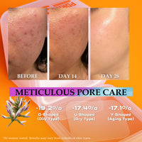 LOLLSEA Skin Reset PDRN Toner Pads | Sooth, Hydrate, Brighten